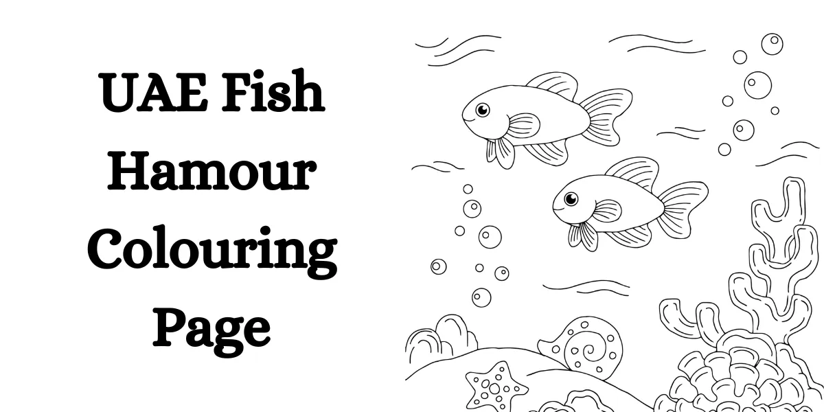 uae fish hamour colouring page