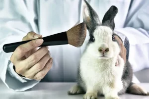 What Beauty Products Are Tested on Animals