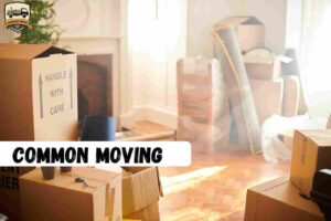 Movers and Packers