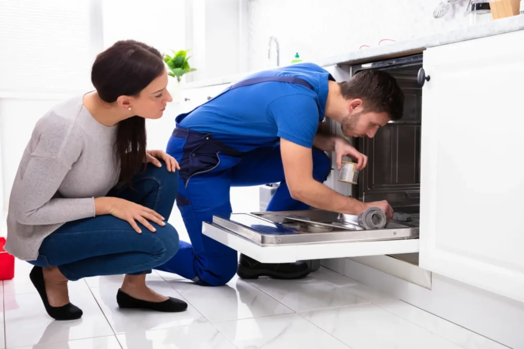 Dishwasher Leaking Into Cabinets – Solutions